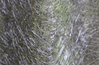 Church Norton fibreglass roof work